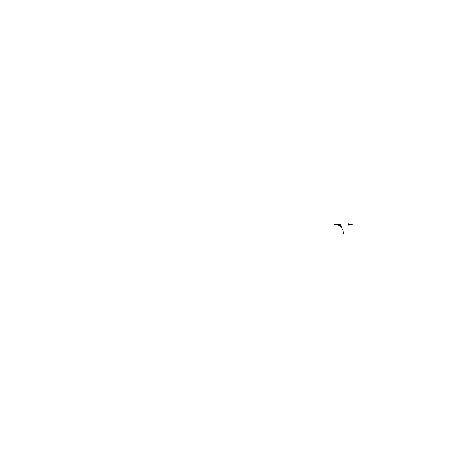 OMNIA